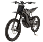 E Ride Pro SS
